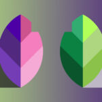 Invert Colors in Photoshop