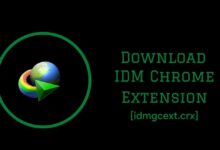 idmgcext.crx - Download IDM Chrome Extension CRX File