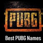 500+ Pubg Funny Name