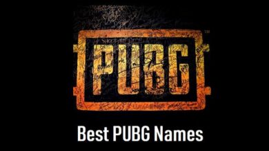 500+ Pubg Funny Name