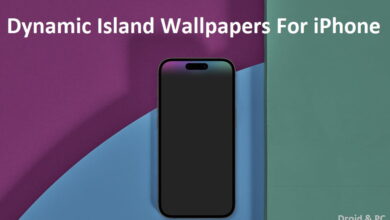 Stunning Dynamic Island Wallpapers for iPhone 14 Pro