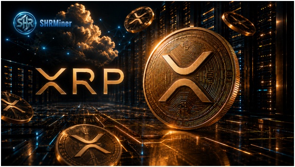 XRP Price